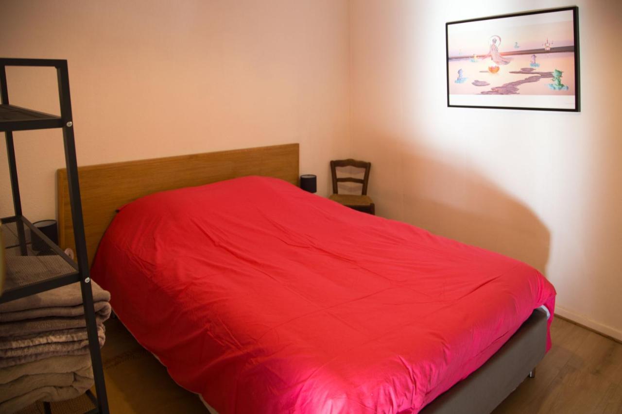 Appartement Le Bain Aux Plantes Strasbourg Exterior photo